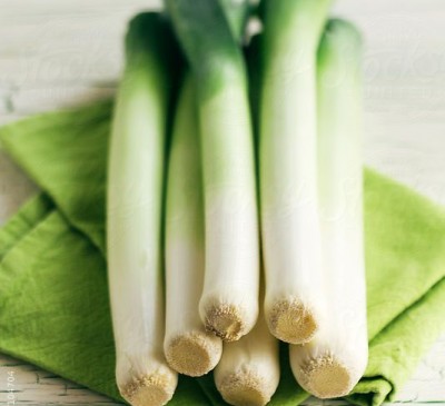 Leek Lion Prizetaker